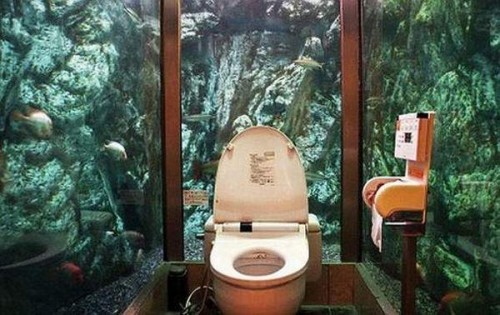 Самые экстремальные места для туалетов