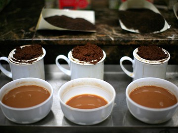 Дегустатор кави розрізняє тисячу його ароматів 