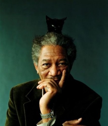 Ку-ку, я здесь