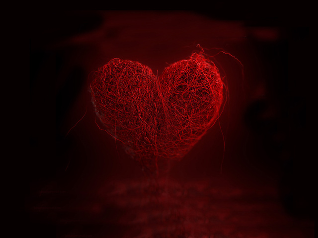 Дышащее сердце