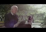 История сердец (SWISS HEART FOUNDATION)