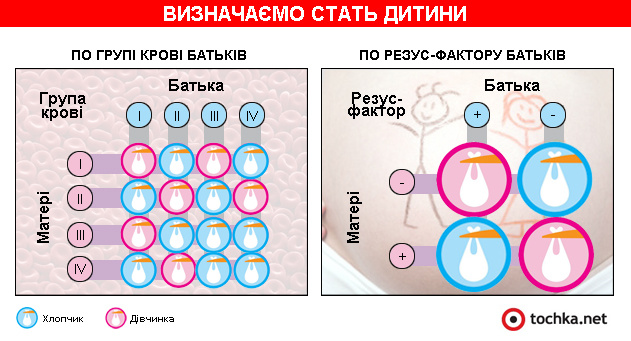 Інфографіка: визначаємо стать дитини