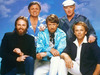 «The Beach Boys» 