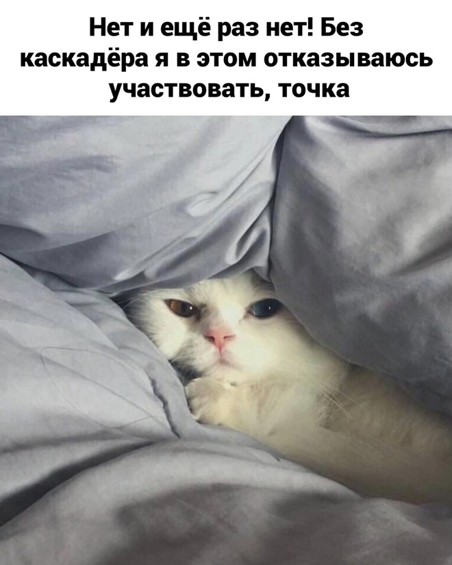 Зовите каскадёра