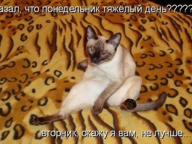 Картинки прикольные по дням недели