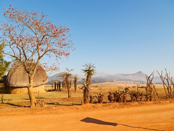 Африка: цікаві факти про самий спекотний континент