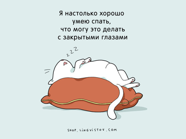 А что все уже спят картинки прикольные