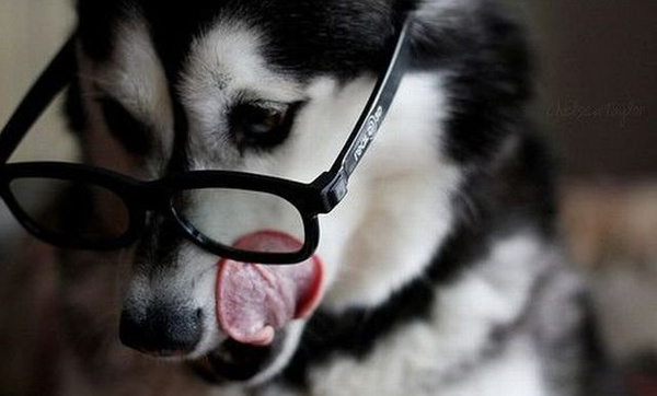 Няшки в очках