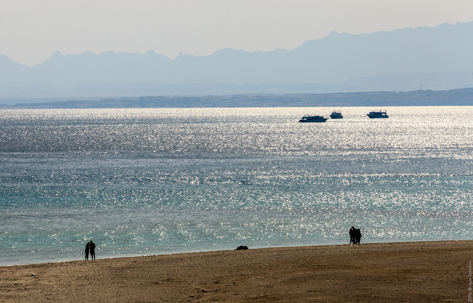 Египет, заповедник Махмея
