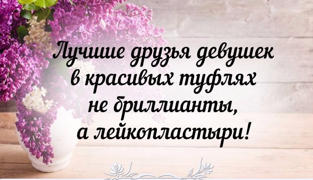 Прикольная подборка с текстом