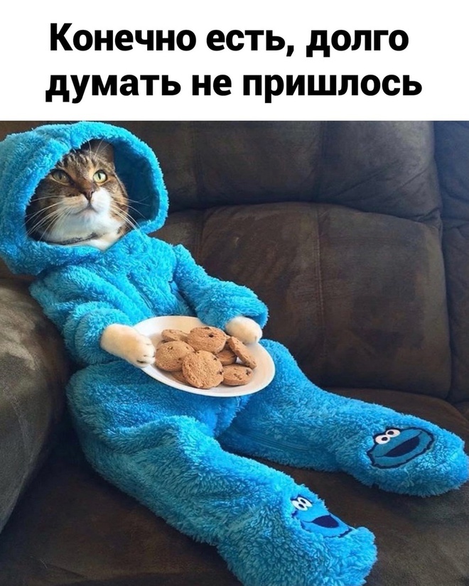 Планы на Новый год