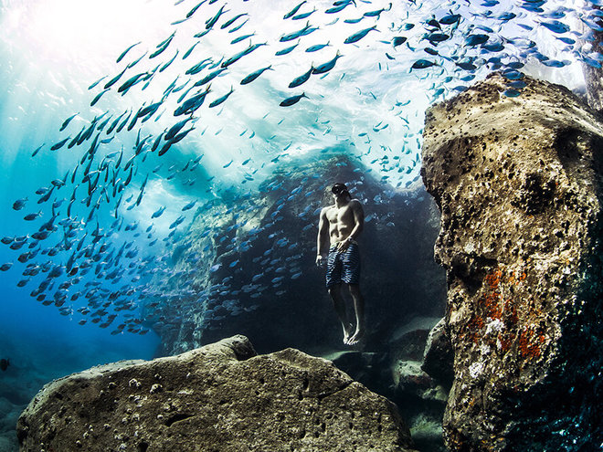 World Nature Photography Awards 2020