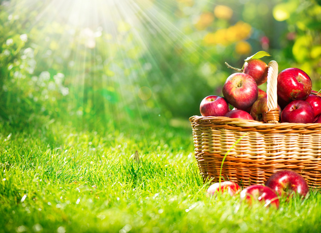 Преображение Господне: почему праздник отмечают 6 и 19 августа