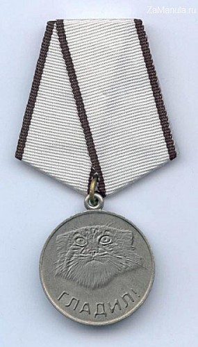 Погладь кота