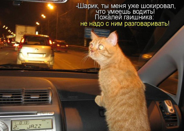 Няшки и суббота