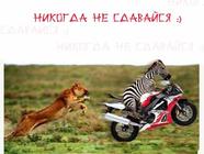 Николи не здавайся!