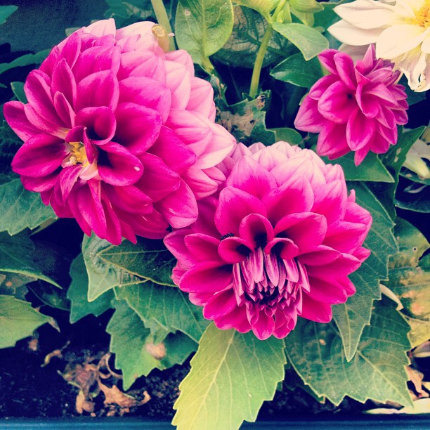 Макс Барских