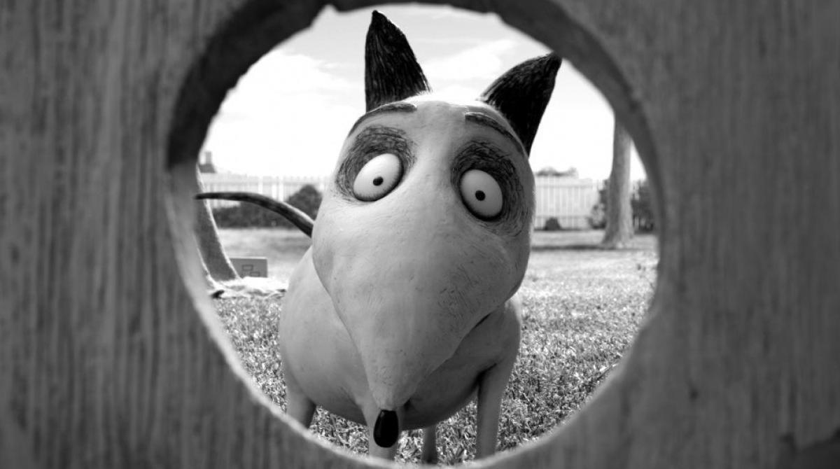 Франкенвини