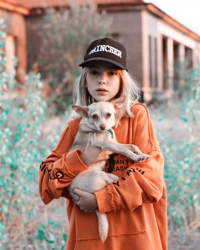 звездные питомцы