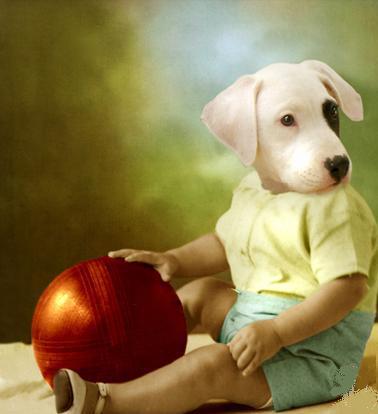 Ретро - животные