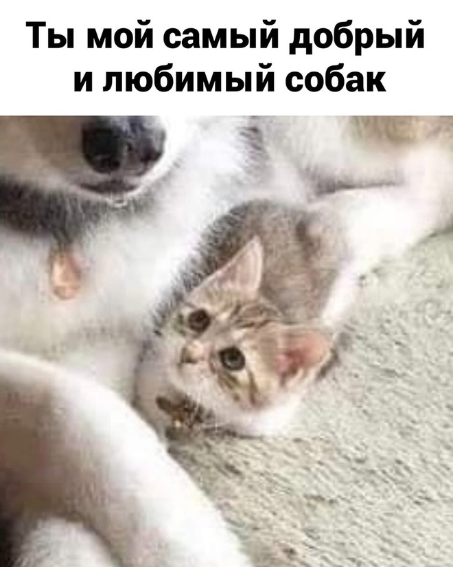 Самый надежный