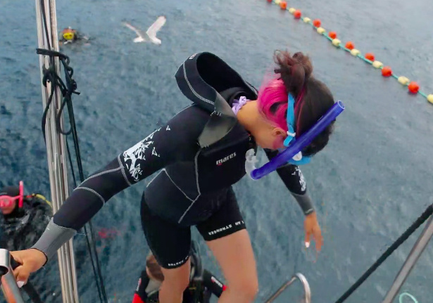 Мішель Андраде