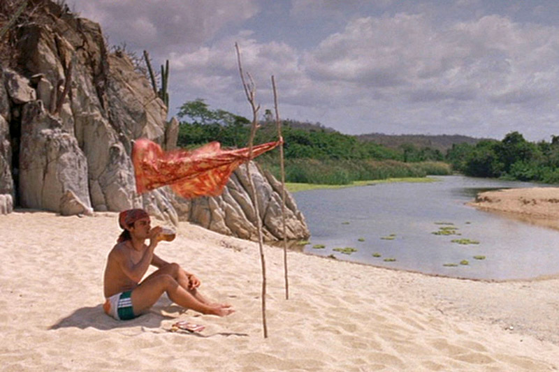 5 вдохновляющих фильмов для путешественников: И твою маму тоже