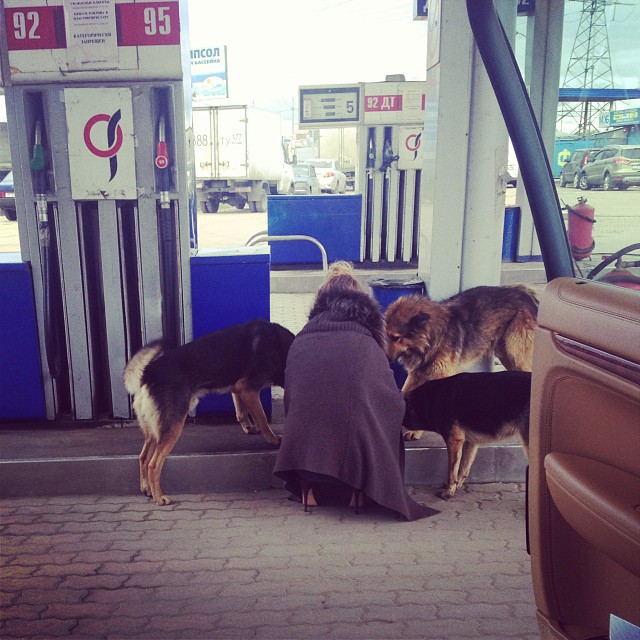 Вікторія Боня