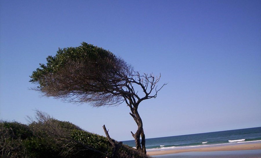Рейтинг стран, где чаще всего происходят стихийные бедствия