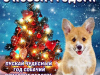 Прикольные открытки на Новый год собаки