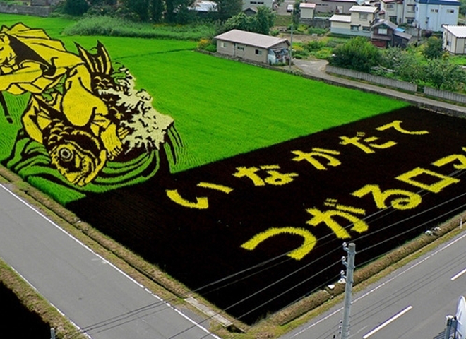Рисовое искусство Японии