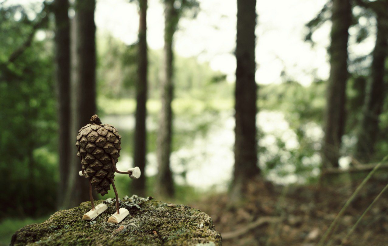 #ПутешествиеСосновойШишки часть 1