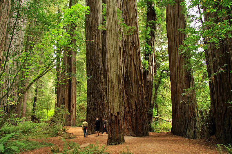 Кинотуризм: Звездные войны