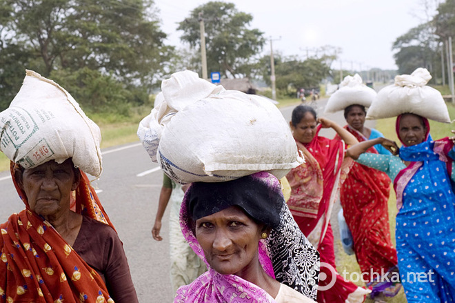 Топ-10 цікавих фактів про Шрі-Ланку