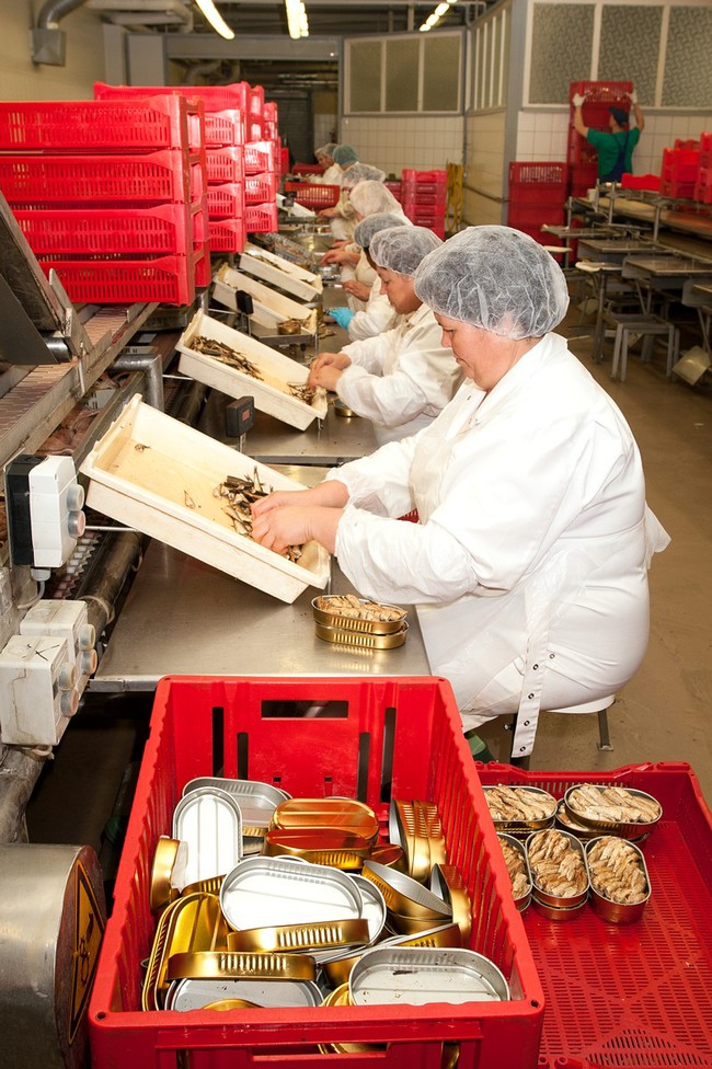 Ризьке золото