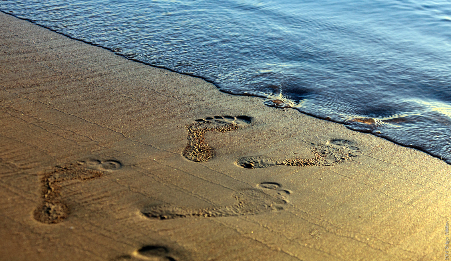Египет, заповедник Махмея