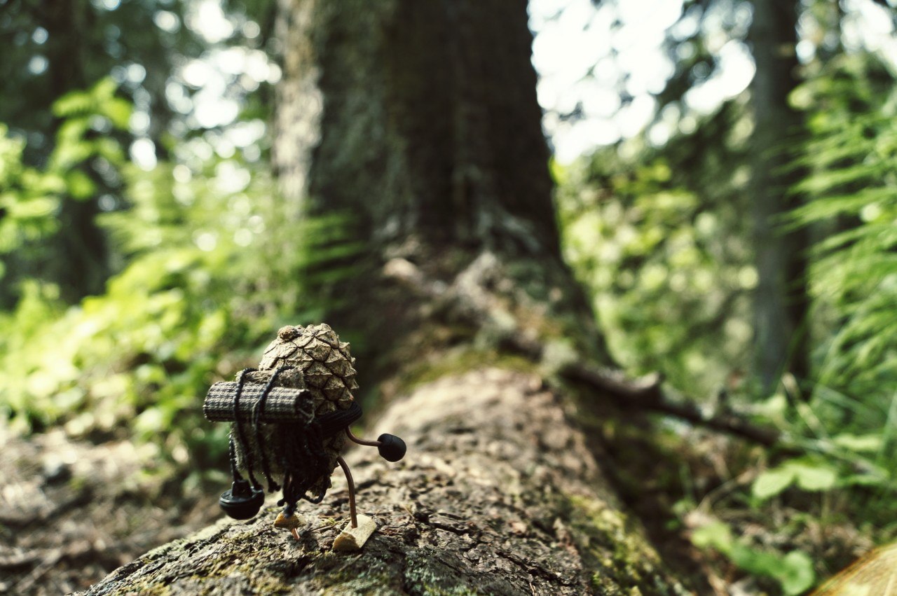 #ПутешествиеСосновойШишки часть 6