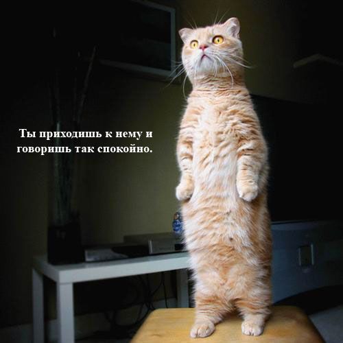 Комикс про пятницу