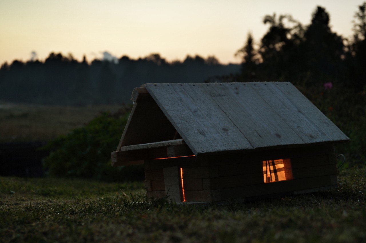 #ПриключениеСосновойШишки часть 9