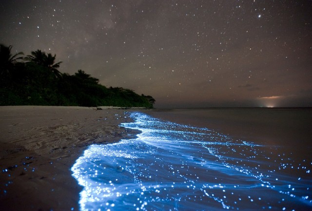 Мальдивы. Волшебный пляж