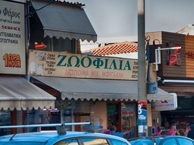 Названия с двойным смыслом