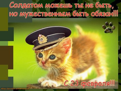 Котейные открытки с 23 февраля