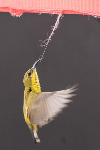 World Nature Photography Awards 2020
