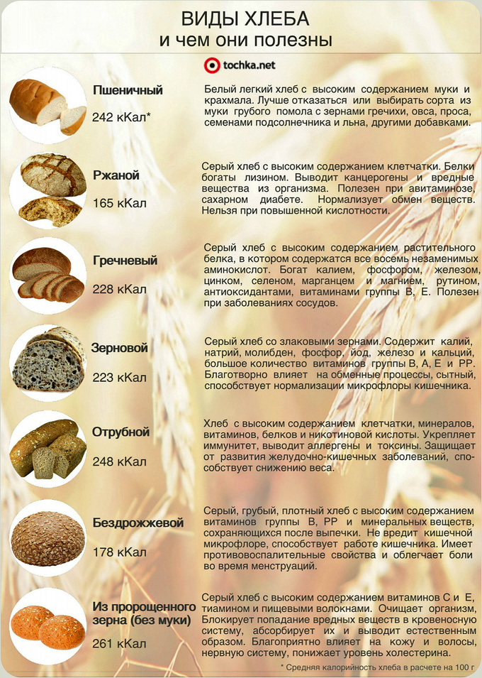 виды хлеба инфографика