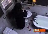 Korn - Alone I Break