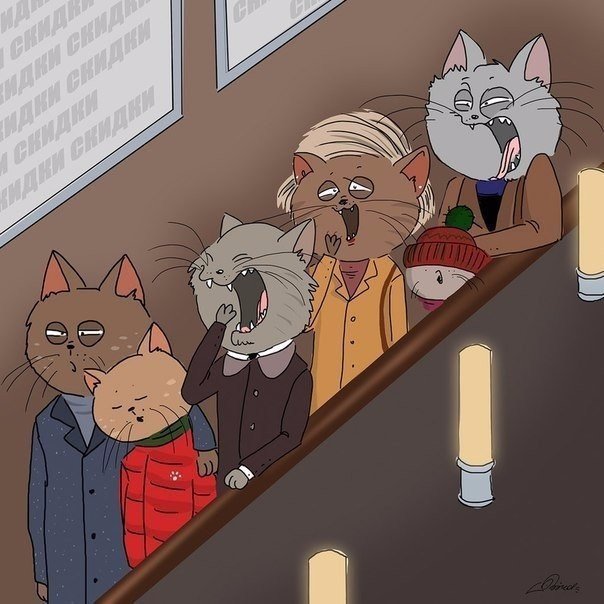 Зимнее утро, оно такое
