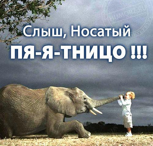 Приколы про пятницу