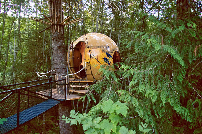 Провести ночь в гнезде: необычный отель на дереве
