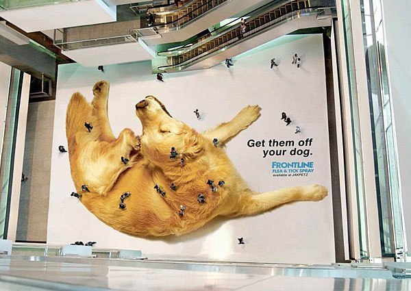Креативная реклама на полу "Лекарство от блох"