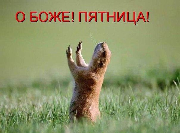 Ура! Знову прийшла п&rsquo;ятниця!